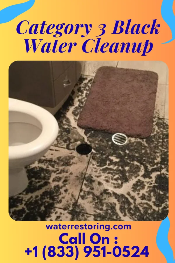 Category 3 Black Water Cleanup in Harmony Grove, CA